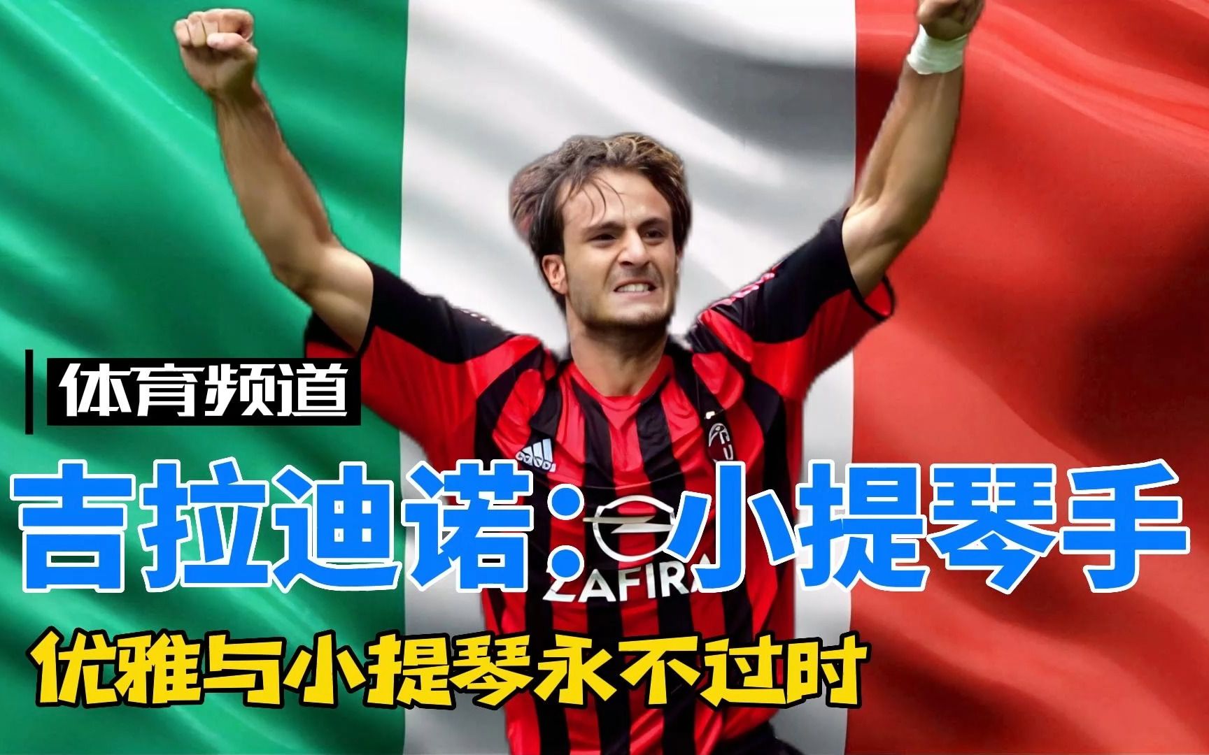 更是引进了 更是引进了