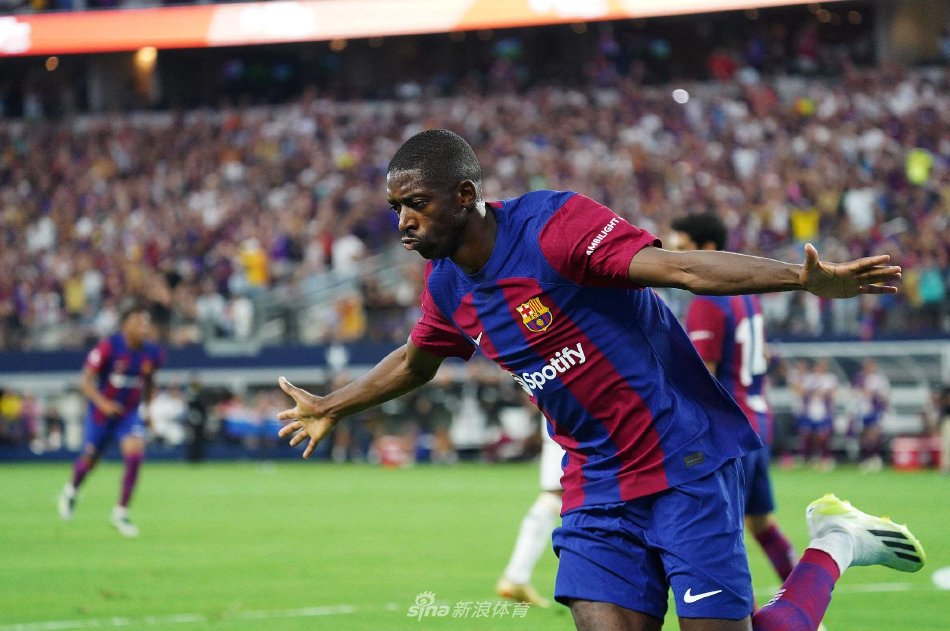 武术散打锦 武术散打锦